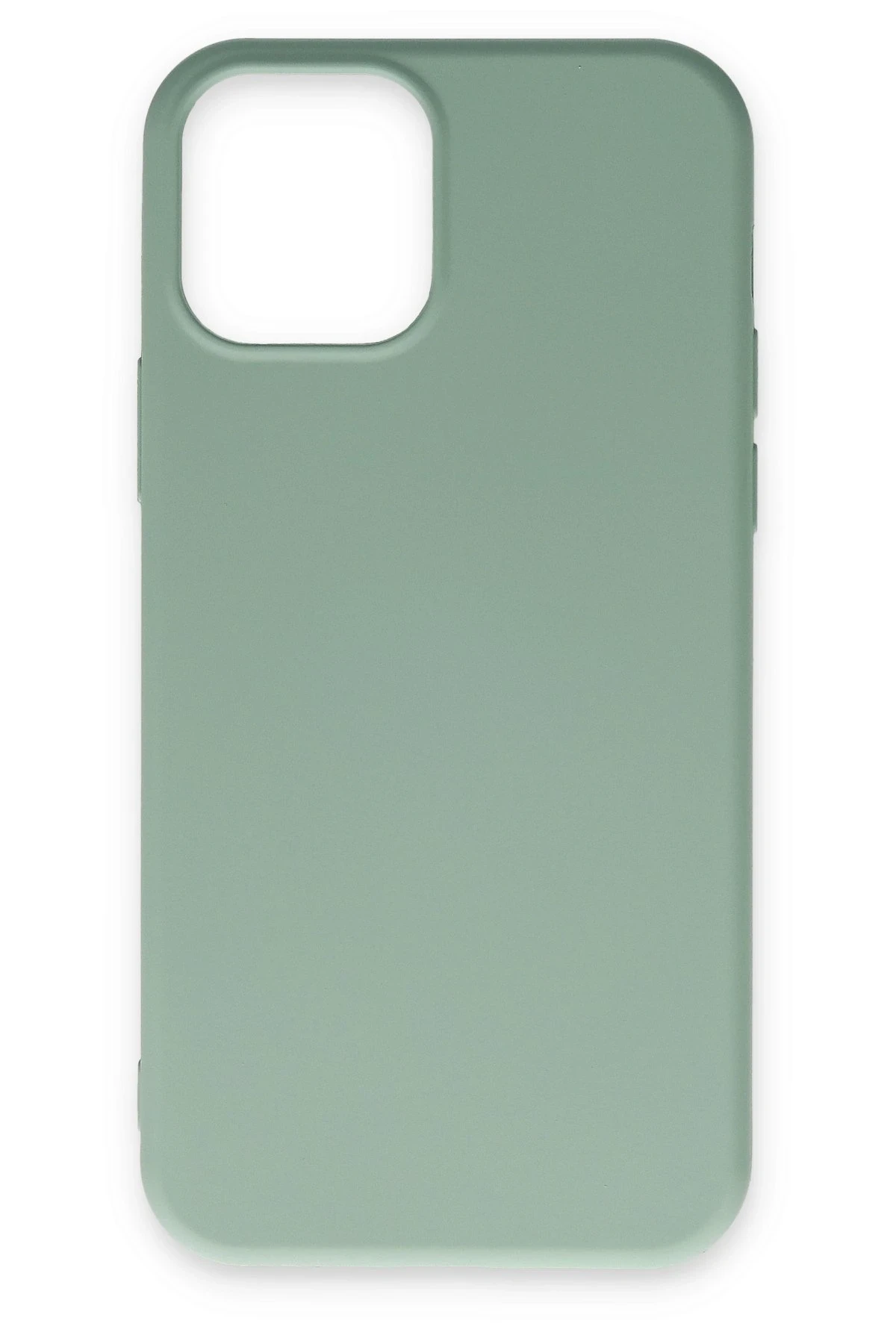 Newface iPhone 12 Kılıf Nano içi Kadife Silikon - Su Yeşili